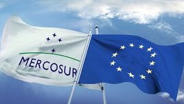 Hatályba lépett a Mercosur megállapodás