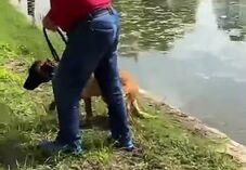 Büntetőeljárás indult: egy férfi megpróbálta vízbe fojtani kutyáját (VIDEÓ)