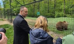 Örökbe fogadott a lengyel államfő egy román medvét