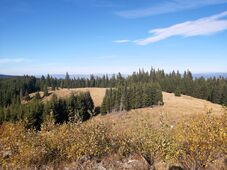 A hegyvidéki ökoszisztémák jövőjéről tanácskoztak Csíkszeredában