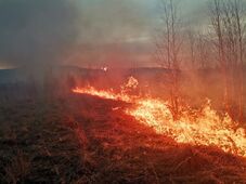 Kezdődik a „tűzzel kaszálás” – Több mint 70 hektáron égett a növényzet az erdélyi megyében