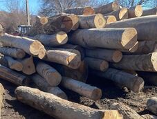 Faanyagot koboztak el és büntettek a hatóságok Hargita megyében