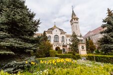 Marosvásárhelyen is döntöttek adóügyben (VIDEÓ)