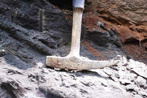 Új dinoszauruszfajt fedeztek fel magyar kutatók Erdélyben