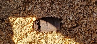 Hargita megye: osztrák–magyar kézigránát bukkant elő kerti munka közben 