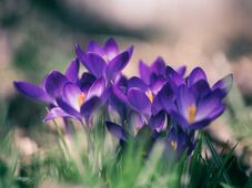 Március végi időjárás: hol mérhetünk 17 Celsius-fokot, mikor érkezik az eső?