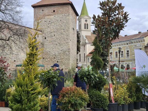 Kertészeti kiállítás és vásár Nagyenyeden