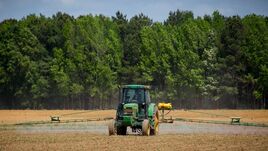 Szupercella csaphat le a mezőgazdaságra