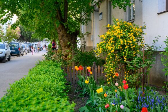 Zöldövezetek szépítésre kaphatnak pénzt a sepsiszentgyörgyiek