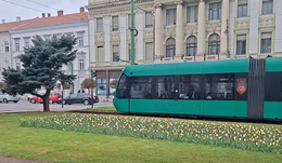 Olcsó villamosjegyekkel válaszolnának az üzemanyagár-emelkedésre egy erdélyi városban