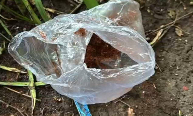 Hiába dobták ki az ablakon a kábítószert, a rendőrök mindent láttak