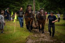 A hagyományok és a gazdálkodás találkozója volt a IV. Gazda- és Lovasnapok Gelencén