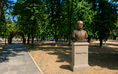 Szobrot állítanának Bunyitay Vincének Nagyváradon