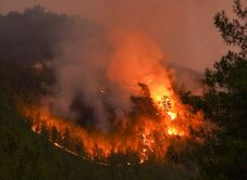 Nemzetközi összefogással oltják az erdőtüzeket Franciaországban és Spanyolországban