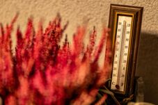 Felmelegedés várható a következő két hétben – Helyenként 39 fok is lehet