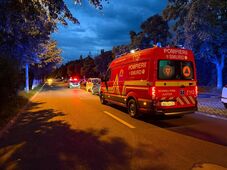 Medve sétált az erdélyi város forgalmas sugárútján – Egy iskolaudvaron kapták el  (VIDEÓ)