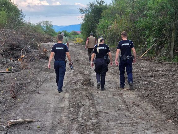 Medvecsapdát helyeznek ki az erdélyi  faluban 