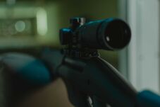 Légpuskával lőtt le egy macskát egy 67 éves marosvásárhelyi férfi