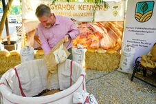 Aszály sújtotta a földeket, mégsem feledkeztek meg a rászorulókról a bihari gazdák