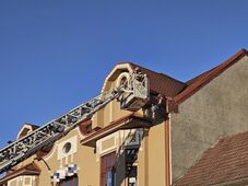 Tűzoltók hozták le a tetőről a bajba jutott cicát