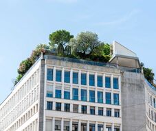 Zöldtetők és környezetbarát parkolók: életbe lép az új városrendezési törvénykönyv