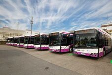 Negyven új, elektromos busz erősíti a kolozsvári tömegközlekedést