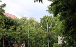 Kilencvenkilenc zilahi utcában korszerűsítik a közvilágítást