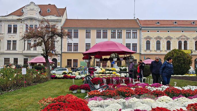 Öt lejtől több, mint száz lejig: bőséges a kínálat a kézdivásárhelyi őszi virágvásáron