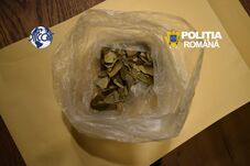 Lecsapott a DIICOT a „kábítószerittas” spirituális szeánszra
