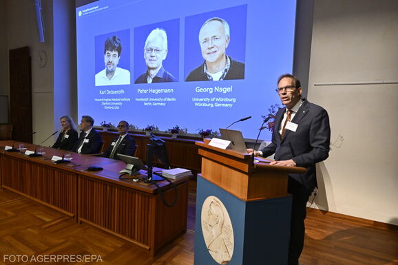 Az agykutatást forradalmasító optogenetikai felfedezésekért adják az idei orvosi-élettani Nobel-díjat