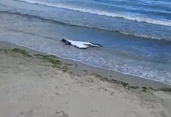 Konstanca: dróndarabot találtak a Modern strandon