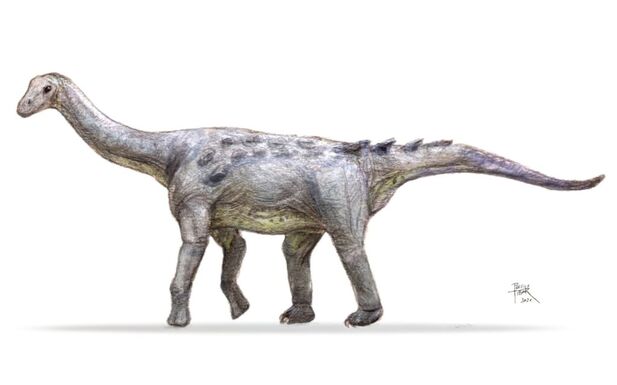 Magyarosaurus Dacus és társai: ezért voltak különlegesek az erdélyi dinók