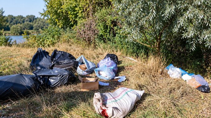 Drága volt a szemetelés: 45 ezer lejre bírságoltak egy férfit