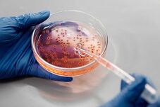 Két aktív hepatitisz gócpontot azonosítottak Fehér megyében – Sokan visszautasítják a védőoltást