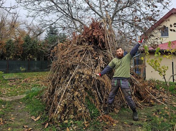 A falevél nem szemét – Így hasznosíthatjuk az őszi zöldhulladékot a kertben