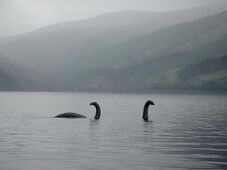 Grindeanu: Bolojant nem az amerikaiak, nem a Loch Ness-i szörny és nem Bigfoot buktatta meg