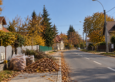 Ingyen elszállítják a zöld hulladékot, de csak Sepsiszentgyörgyön