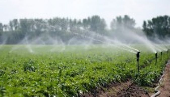 A kormány is harcba száll a szárazsággal