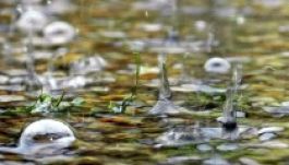 Kánikula és felhőszakadás várható