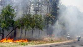 Egy hónap alatt 270 hektár erdő égett ki Hargita megyében