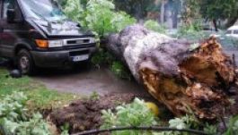 Ítéletidő pusztított