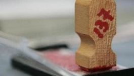 Hogyan (nép)szavazunk vasárnap?