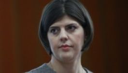 Előzetes jelentés: a legfőbb ügyész nem plagizált