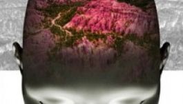 Minimum „homályos” természetművészet