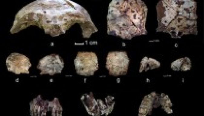 A modern ember eddig legrégibb csontmaradványára bukkantak