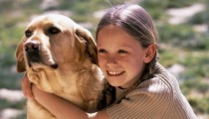 A kutyás családok gyerekei egészségesebbek