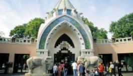 Ingyen mehetnek a budapesti állatkertbe csütörtökön a 146 centinél alacsonyabbak