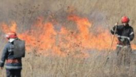 Avartűz lobbant fel a magyar-román határon