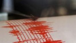 Vrancea: egy nap, négy földrengés