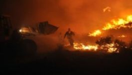 Veszélyben Athén? Erdőtűz pusztít a főváros közelében